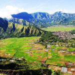 sawah terindah di indonesia