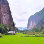 sawah terindah di dunia