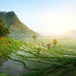 sawah terindah di indonesia