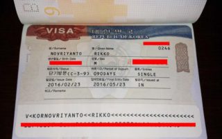 visa korea selatan