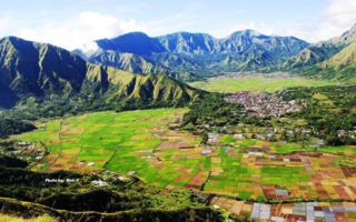 sawah terindah di indonesia