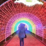 sindu kusuma edupark light festival