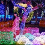 sindu kusuma edupark light festival