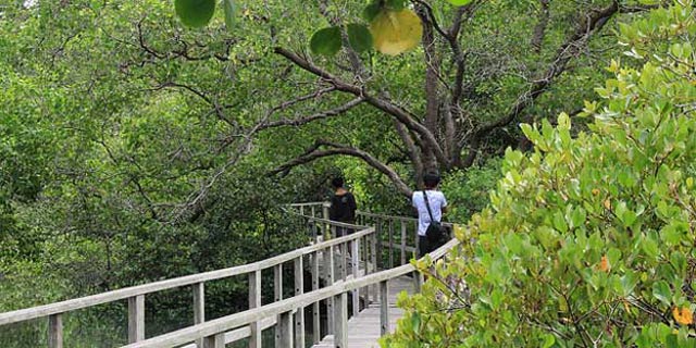 7 Rekomendasi Wisata Alam Surabaya Dan Sekitarnya 7 Rekomendasi Wisata Alam Surabaya Dan Sekitarnya