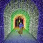 sindu kusuma edupark light festival