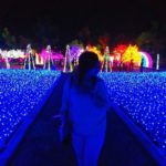 sindu kusuma edupark light festival