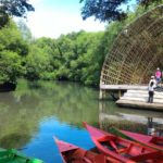 hutan mangrove PIK