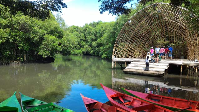 Hutan Mangrove PIK, Destinasi Wisata yang Bikin Bahagia