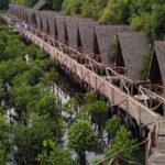 hutan mangrove PIK