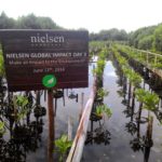 hutan mangrove PIK