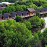 hutan mangrove PIK