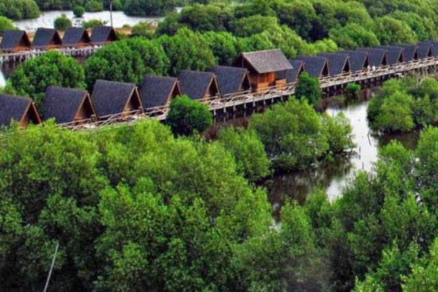  Hutan  Mangrove PIK Destinasi Wisata yang  Bikin Bahagia 