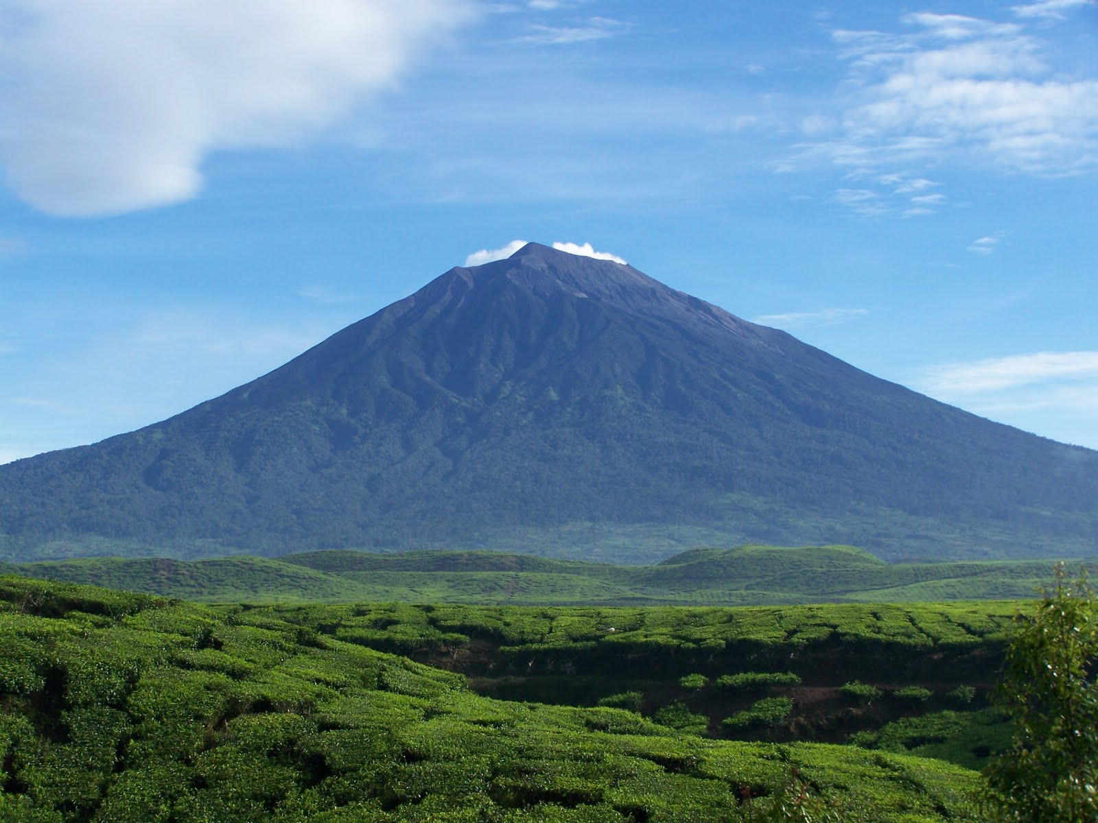 Gunung Kerinci - Banyak Turis Datang! 7++ Gunung Paling Indah di Indonesia