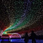 sindu kusuma edupark light festival