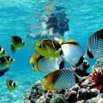 ide aktifitas liburan di bali ala bule