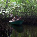 hutan bakau nusa lembongan