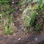 spot mistis gunung indonesia