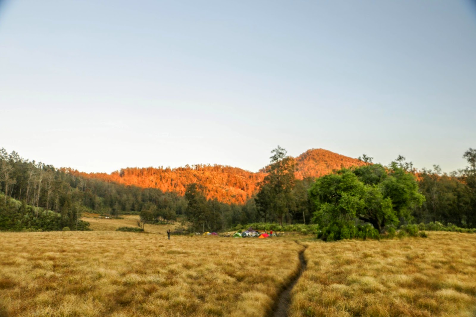 padang sabana