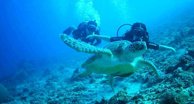 gili meno