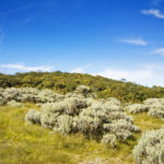 gunung gede pangrango