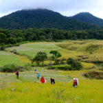 padang sabana