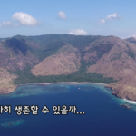 hani dan mingyu ke pulau komodo