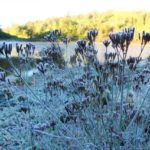 salju di ranu kumbolo