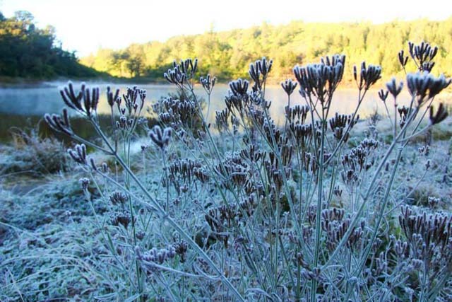salju di ranu kumbolo