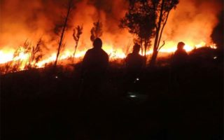 Gunung Rinjani Kebakaran, Diduga Karena Puntung Rokok Pendaki