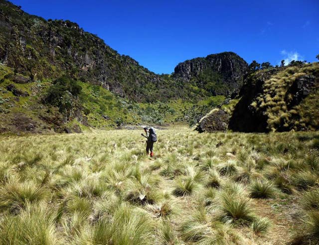 9 Gunung dengan Jalur Pendakian Sabana Terindah di Indonesia