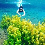 tempat wisata di malang