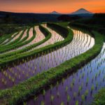 fotografer cewek asal indonesia
