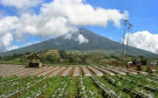 gunung slamet
