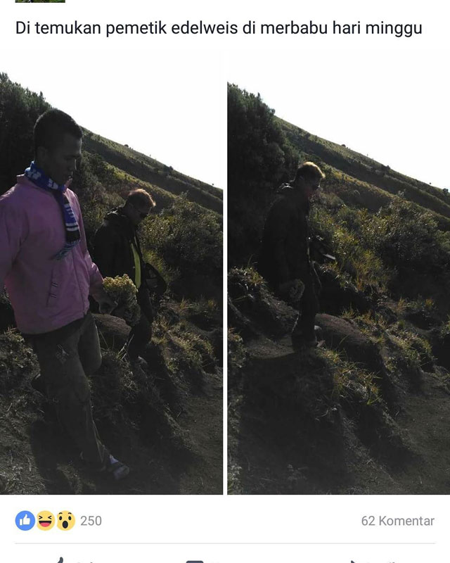 sanksi merbabu