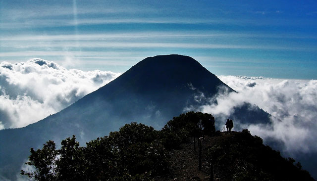 gunung pangrango