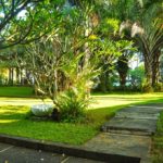 palm beach resort