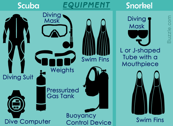 perbedaan snorkeling dan diving