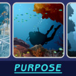 perbedaan snorkeling dan diving 2 phinemo