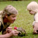 steve irwin
