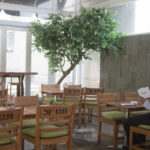 De'Cafe MG setos