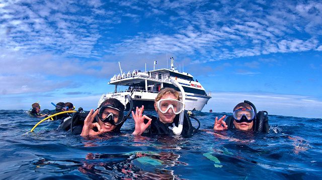 perbedaan snorkeling dan diving 2 phinemo