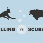 perbedaan snorkeling dan diving