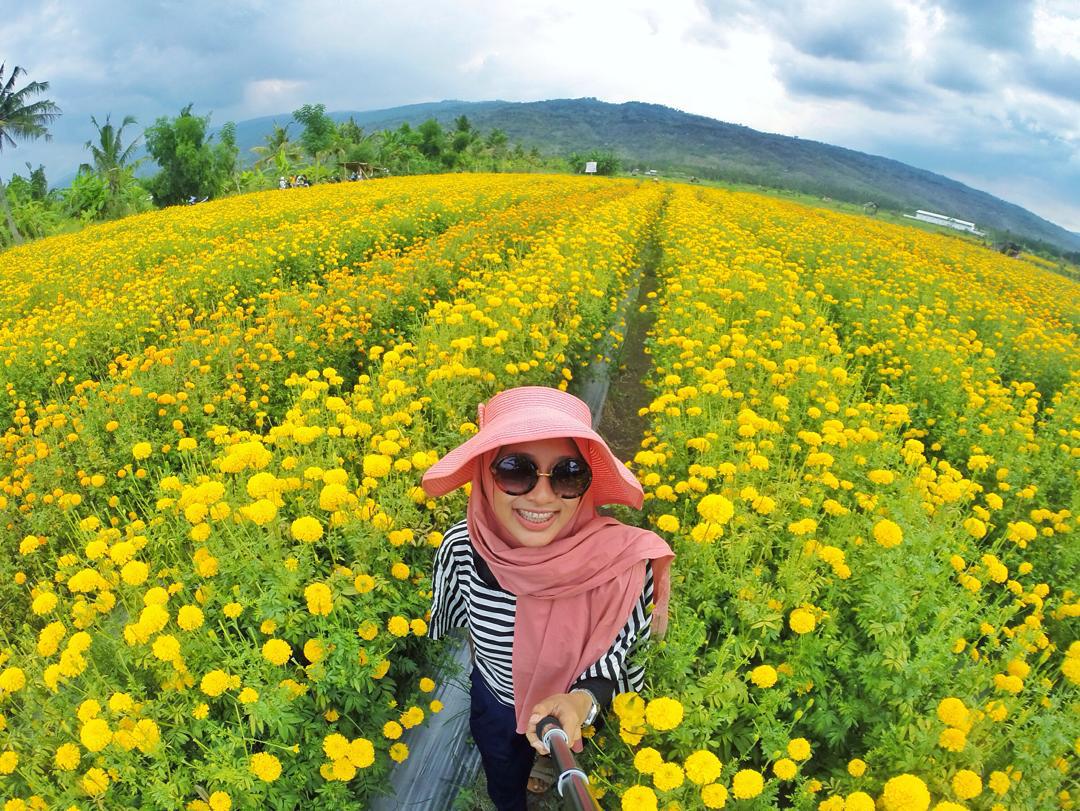 Gambar Taman Bunga Terindah Di Indonesia | Pickini