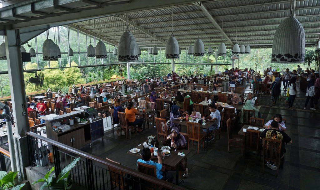 cimory on the valley