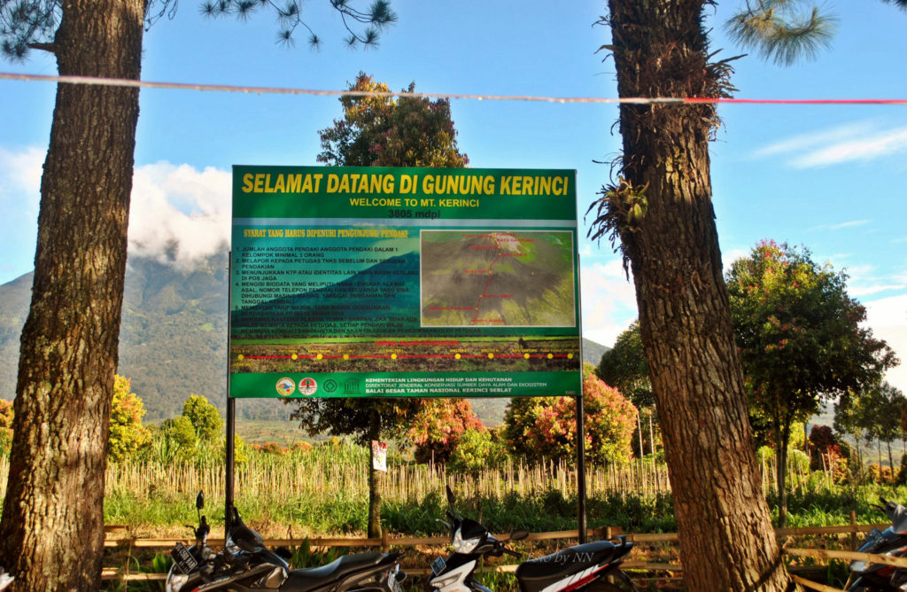 tersesat di gunung