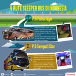 infografik sleeper bus di indonesia
