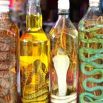 snake wine