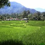 destinasi romantis bernuansa alam 3