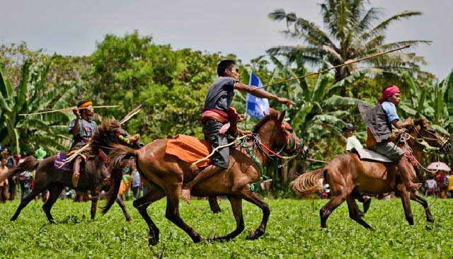 Tradisi Perang Pasola di Sumba Barat yang Mencengangkan