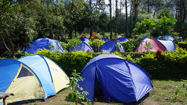 Base camp Mawar Ungaran